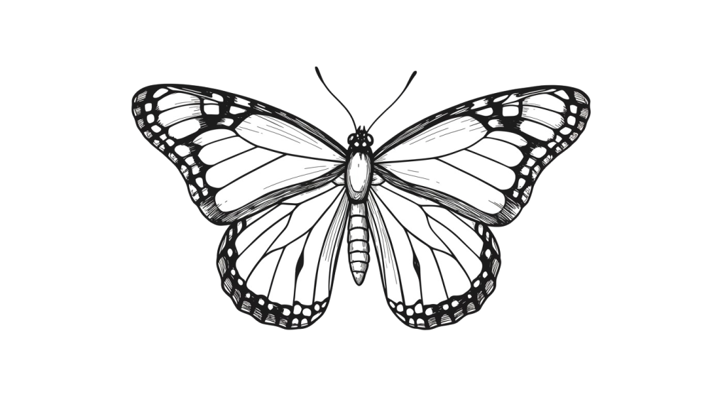 Butterfly PNG