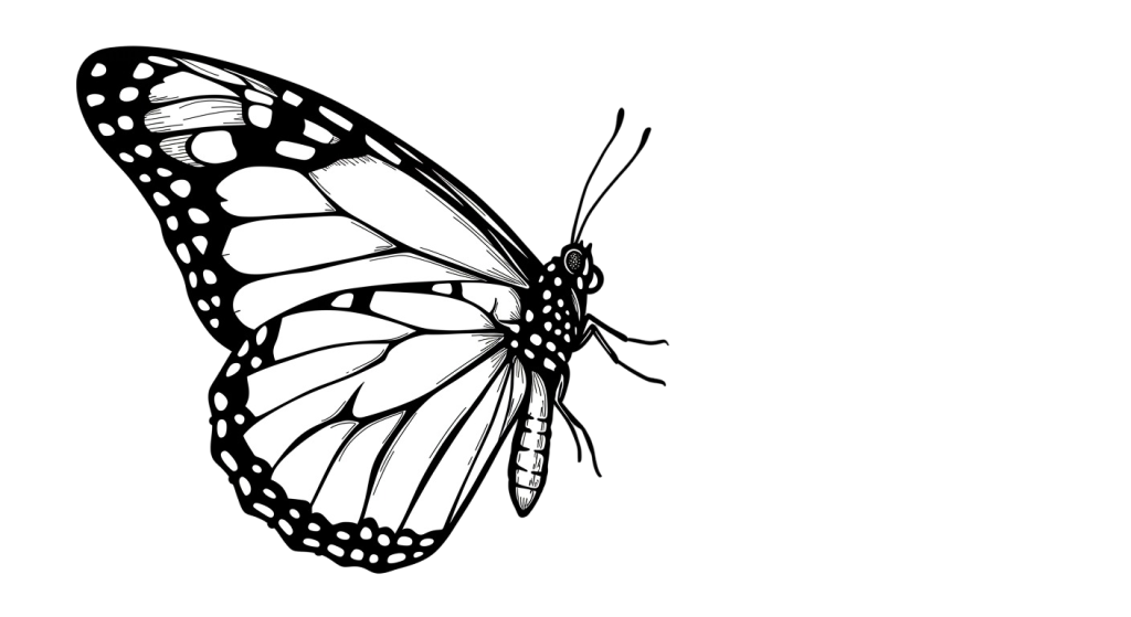 Butterfly Transparent Png (6)