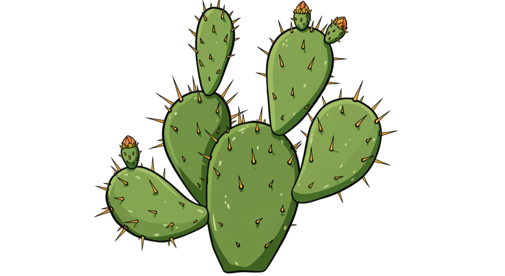 Cactus Transparent Png (2)