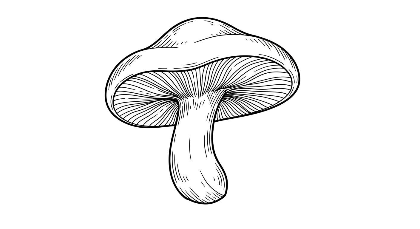 Mushroom Transparent Png (5)