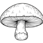 Mushroom PNG