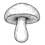 Mushroom PNG