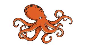 Octopus Transparent Png (12)