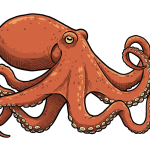 Octopus PNG