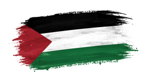 Palestine Flag Transparent Png (1)