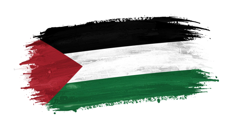 Palestine Flag Transparent Png (1)