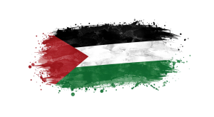 Palestine Flag Transparent Png (10)