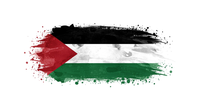 Palestine Flag Transparent Png (11)