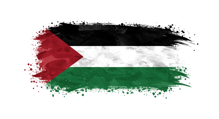 Palestine Flag Transparent Png (12)