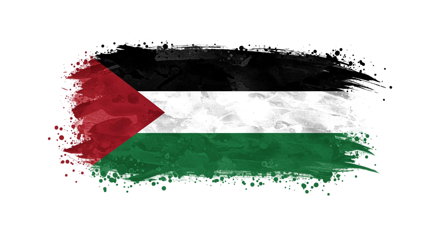Palestine Flag Transparent Png (12)