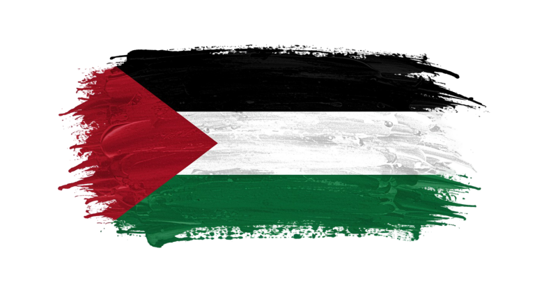 Palestine Flag Transparent Png (13)