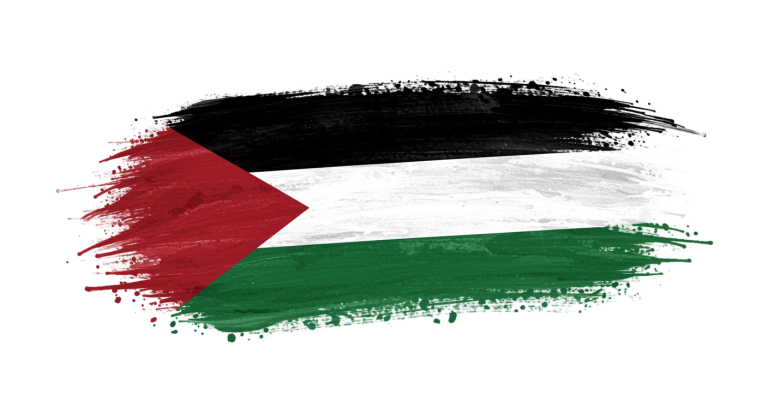 Palestine Flag Transparent Png (14)