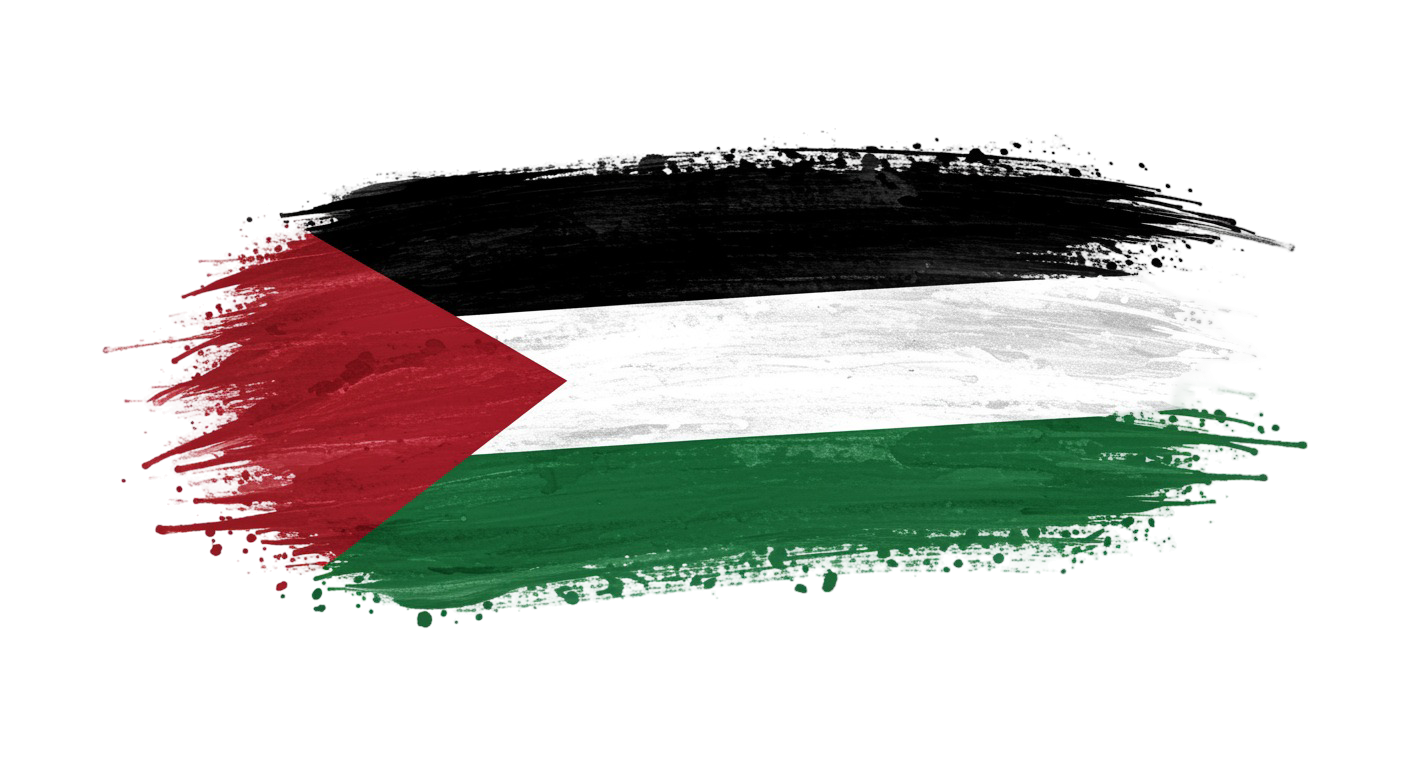 Palestine Flag Transparent Png (14)