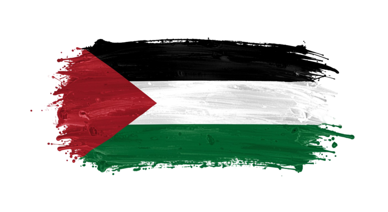 Palestine Flag Transparent Png (15)