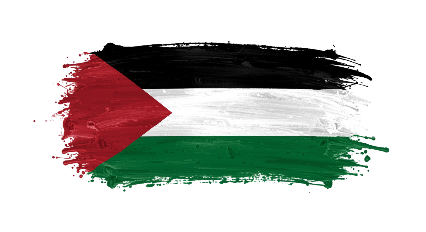 Palestine Flag Transparent Png (15)