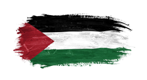 Palestine Flag Transparent Png (16)