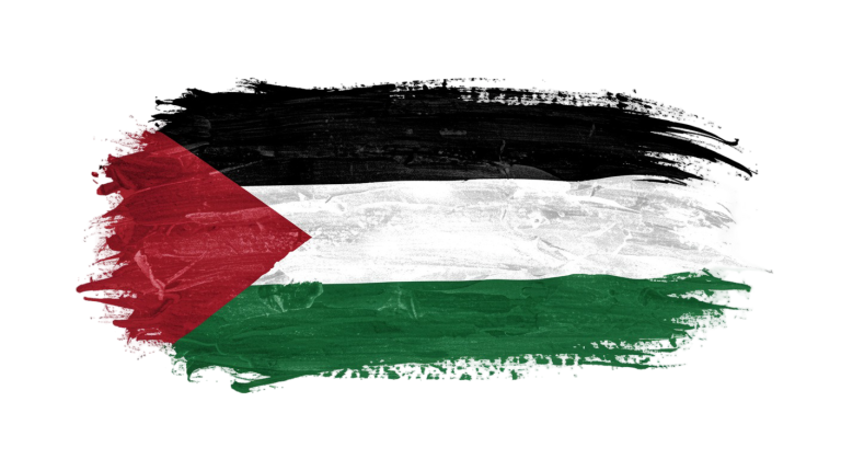 Palestine Flag Transparent Png (16)