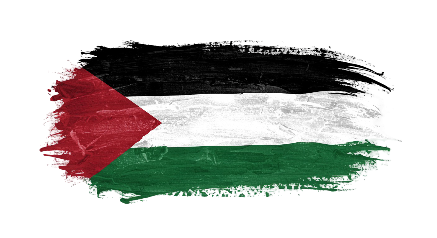Palestine Flag Transparent Png (16)