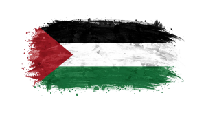 Palestine Flag Transparent Png (17)