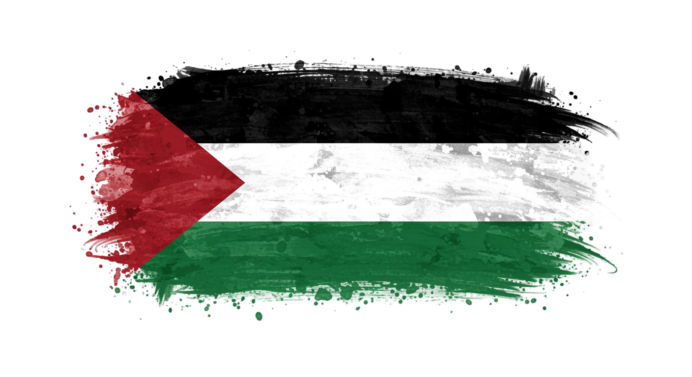 Palestine Flag Transparent Png (17)