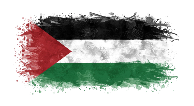 Palestine Flag Transparent Png (18)