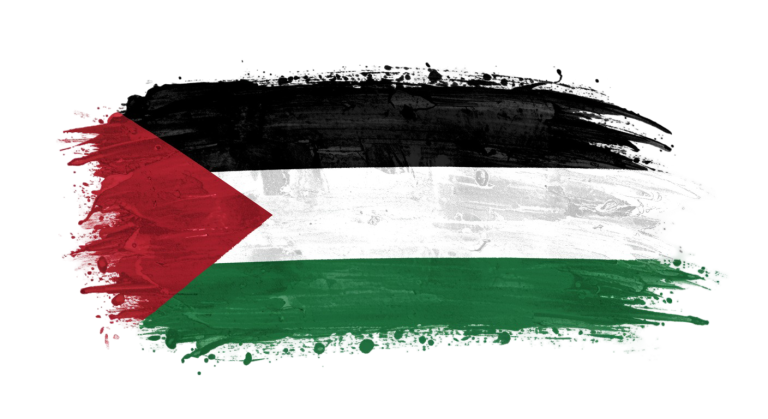 Palestine Flag Transparent Png (19)