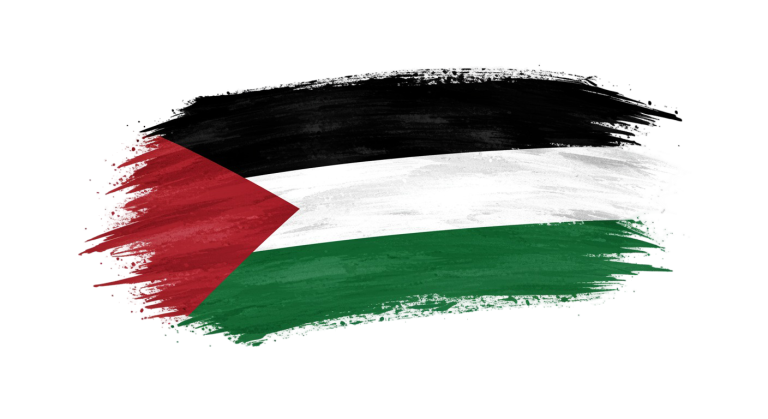 Palestine Flag Transparent Png (20)