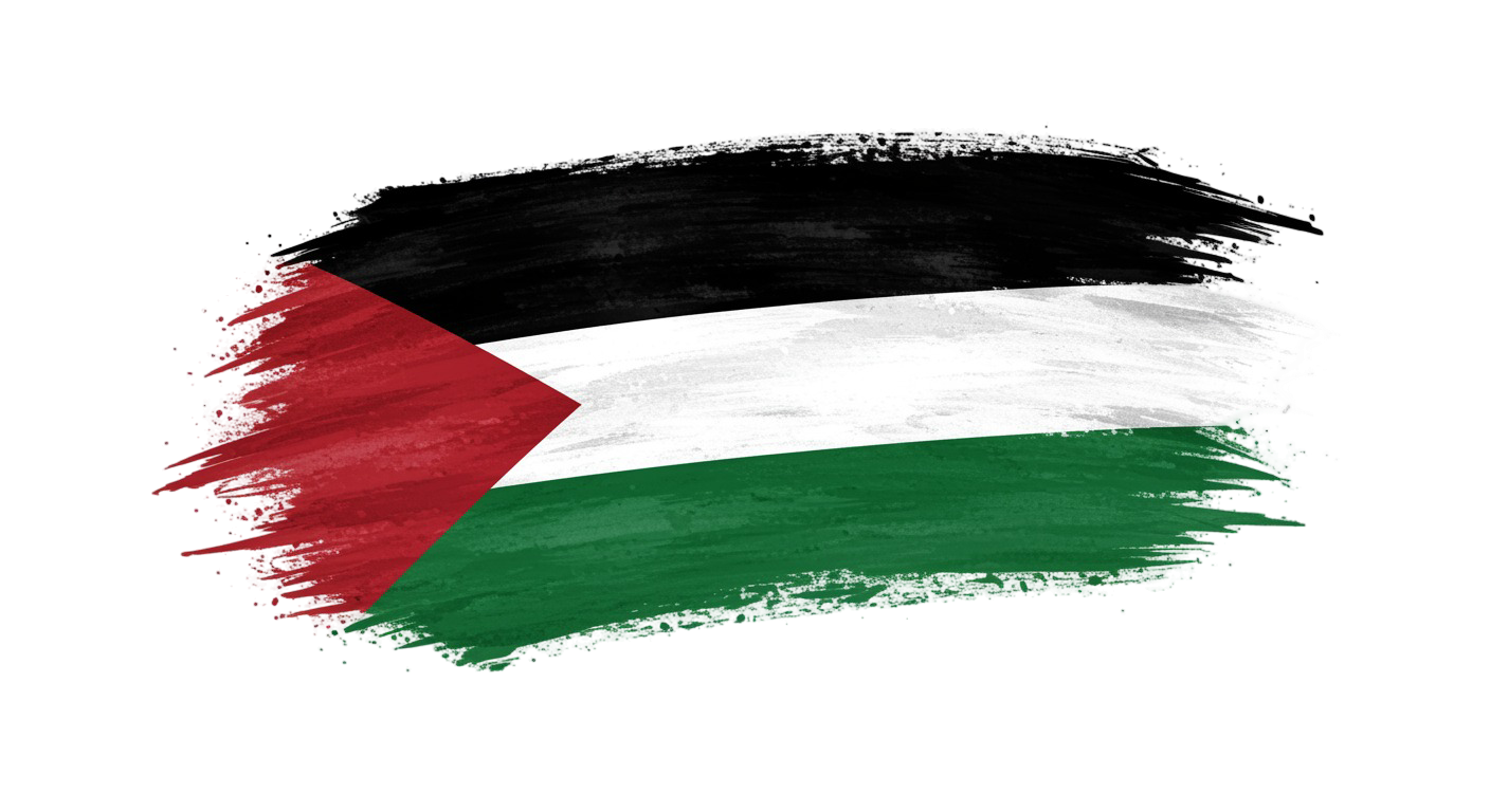 Palestine Flag Transparent Png (20)