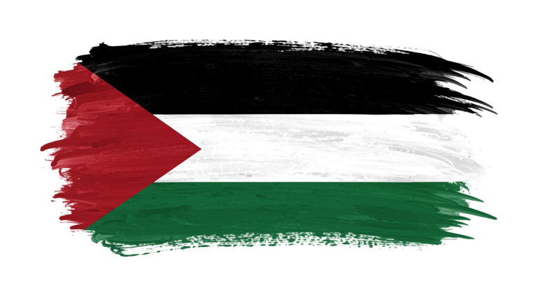 Palestine Flag Transparent Png (21)