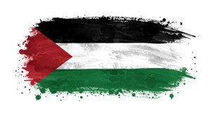 Palestine Flag Transparent Png (22)