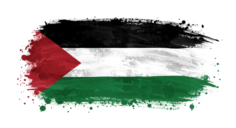 Palestine Flag Transparent Png (22)