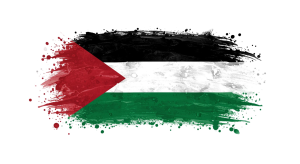 Palestine Flag Transparent Png (23)