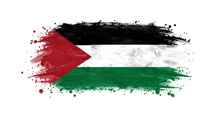 Palestine Flag Transparent Png (23)