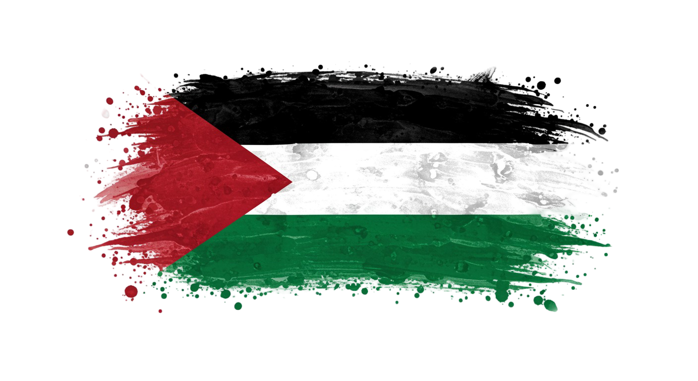 Palestine Flag Transparent Png (23)
