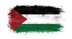 Palestine Flag Transparent Png (24)