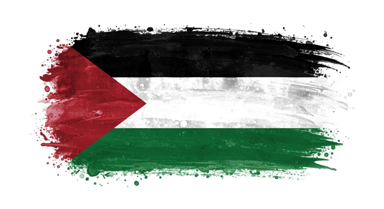 Palestine Flag Transparent Png (24)