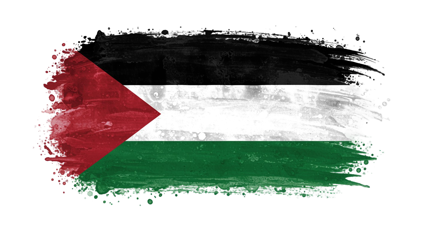 Palestine Flag Transparent Png (24)