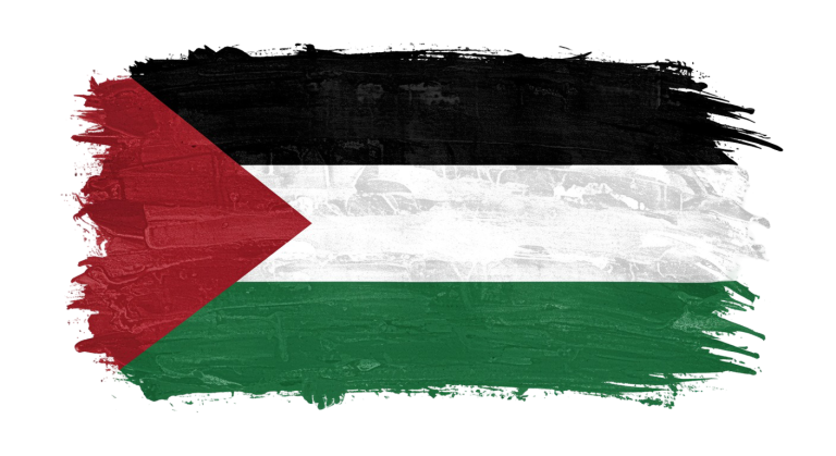 Palestine Flag Transparent Png (25)
