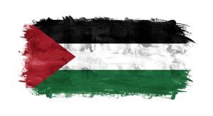 Palestine Flag Transparent Png (26)
