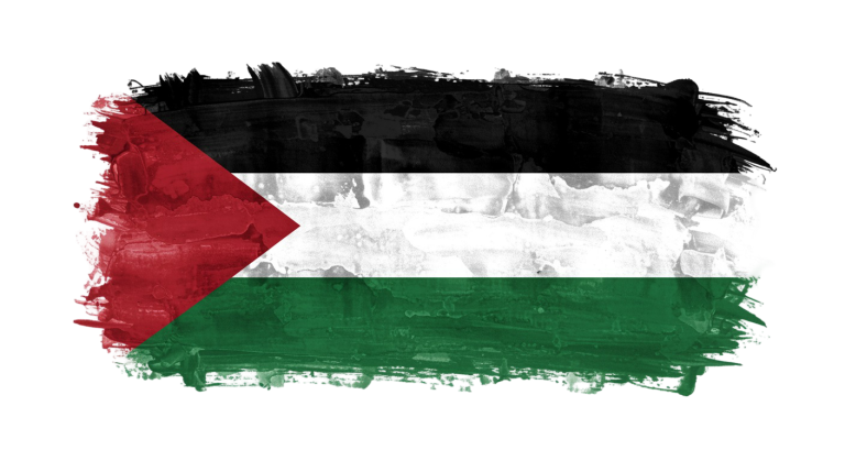 Palestine Flag Transparent Png (26)
