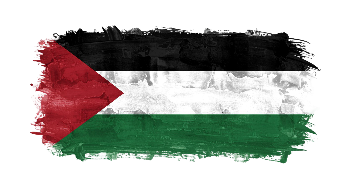 Palestine Flag Transparent Png (26)