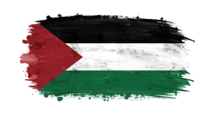 Palestine Flag Transparent Png (27)