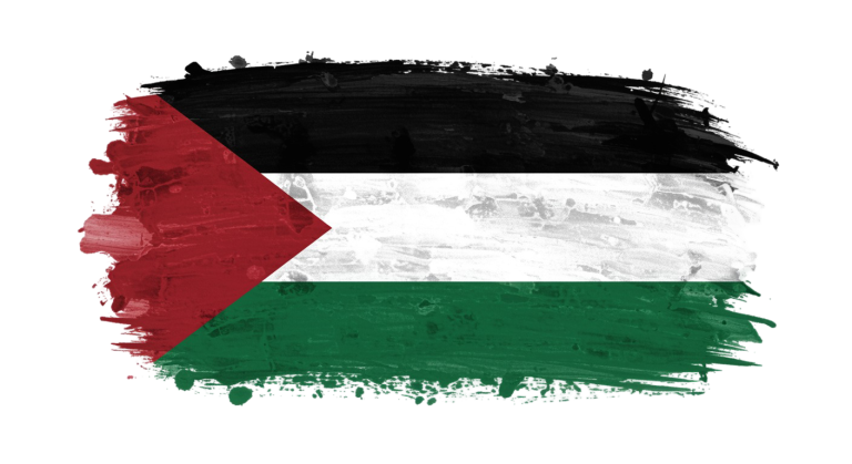Palestine Flag Transparent Png (27)