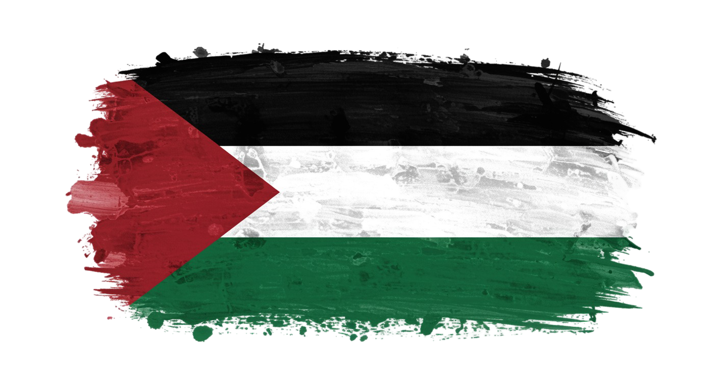 Palestine Flag Transparent Png (27)