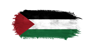 Palestine Flag Transparent Png (28)