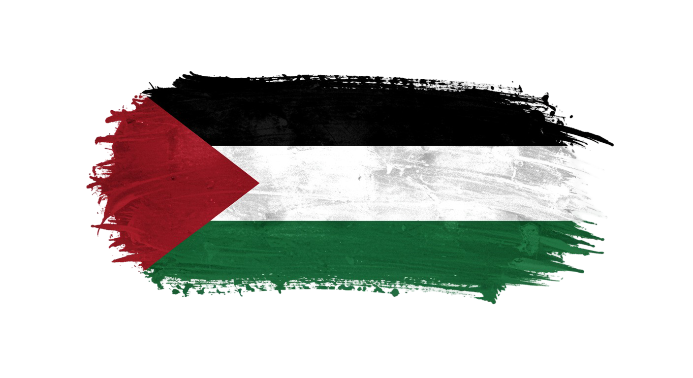 Palestine Flag Transparent Png (28)