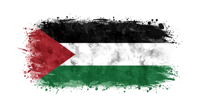Palestine Flag Transparent Png (29)