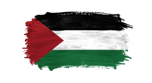 Palestine Flag Transparent Png (3)