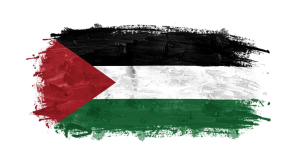 Palestine Flag Transparent Png (30)
