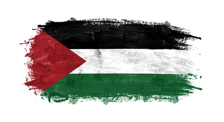 Palestine Flag Transparent Png (30)